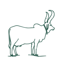Cows Hand Milked