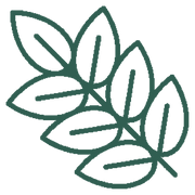 Moringa