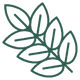 Moringa