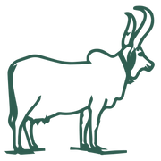 Cow Ghee
