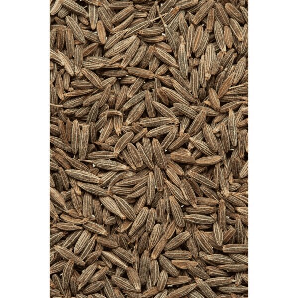 Cumin Seeds